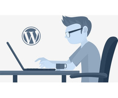 Hire WordPress developer