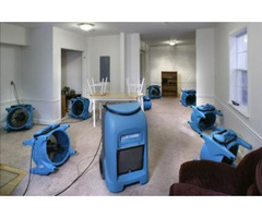 Carpet Cleaning Adelaide - 2