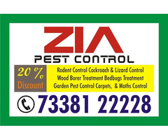 Zia Pest Control Residence Cockroach Service
