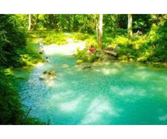 Enjoy Customize Montego Bay Private Tours