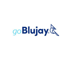 Blujay LLC