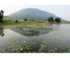 Package Tour Operator For Bankura