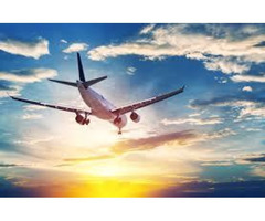 Save money on Google Flights | Google Flights Search