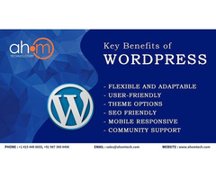 Top WordPress custom theme development services - 2