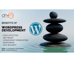 Top WordPress custom theme development services - 3