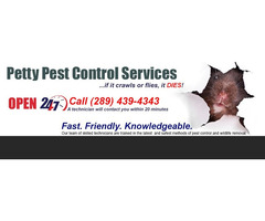 Pet Flea Extermination Service Toronto