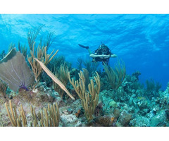 Enjoy Superior Things To Do In The Caribbean - 2