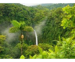 Best Offers Kerala Holiday Packages From Delhi - 4