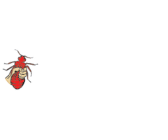 exterminators rochester, NY