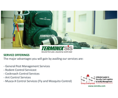 Termite Control Services