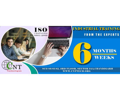 6 Months or 6 Weeks Industrial Live-Project Training - 2