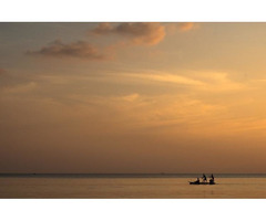 India planning to offer 30 day’s India e-tourist visa