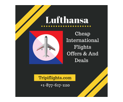 Cheap Flights Deals on Lufthansa International Airlines