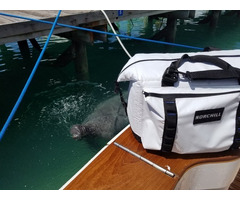 Insulated Marine Coolers for Your Fishing Trip - 4
