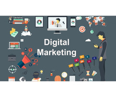 Top Digital Marketing Company in India and USA