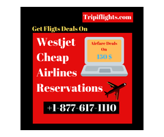 Westjet airlines reservations - Get the deal on Tripiflights