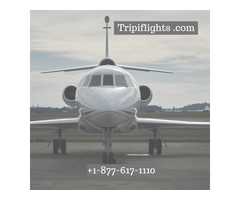 Tripiflights - Copa Airline Cheap Flights  - Must See!!