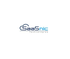 Saasnic-Salesforce Development and Consulting in USA
