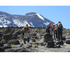 Kilimanjaro Hike