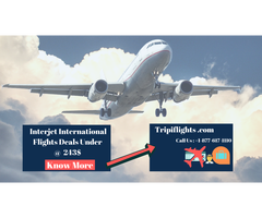 Cheap interjet international flights - tripiflights