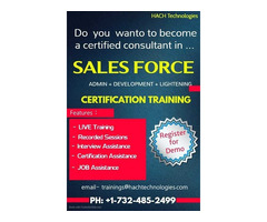 Salesforce Online training in Alabama