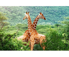 Explore Tours of Rajasthan with Royal Adventure Tours