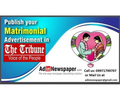 Tribune Matrimonial Advertisement | Groom Wanted Ads
