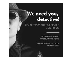 Private Detective Agency Investigation Services in Gurgaon