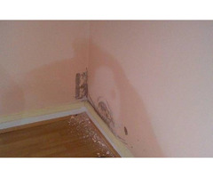 Rising Dampness Treatment Services