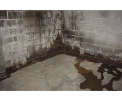 Internal Wall Dampness Water Proofing Service