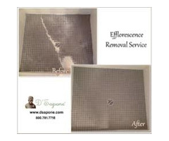Shower Efflorescence Removal Service in Atlanta, GA