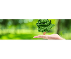 Green Printer, Printing Services - VeraPax Marketing