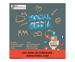 Social Media Services in Noida