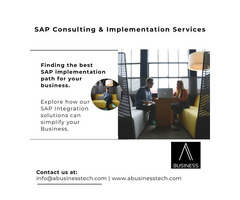 SAP CPI Consultant
