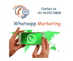 Bulk Whatsapp Services Bhopal