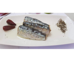 Moroccan Sardines Export - 2