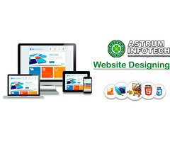 Best Website Designing Services in Delhi NCR - 2