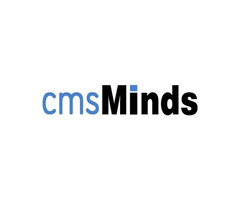 Hire Angularjs Developer - cmsminds - 3