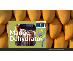 Mango Dehydrator
