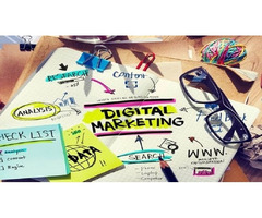 SEO Service Provider in India
