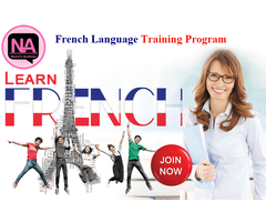 Intensive German Classes for Learners of all Levels