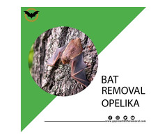 Bat Removal Opelika