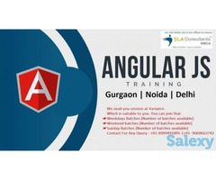 Join Best AngularJS Training at SLA Consultants Noida