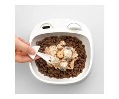 Custom Bowls For Dogs