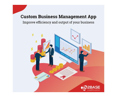 Web Application Development Company in USA