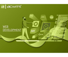 Web Development & Digital Marketing Company in India