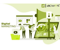 Web Development & Digital Marketing Company in India - 2