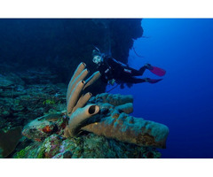 Look For Best Deals For Scuba Diving Vacations - 2