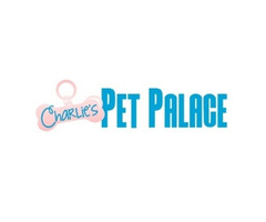 Doggy Clothes And Accessories