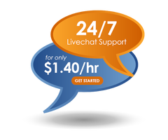 Livechat Support Software Plus 24/7 Live Agents